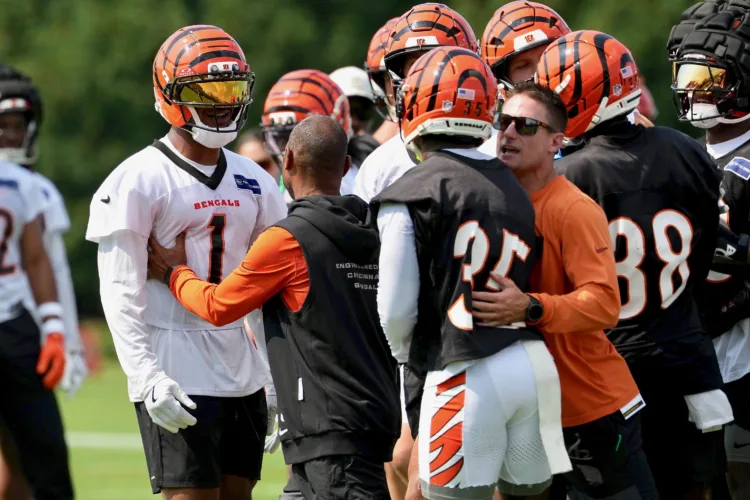 Tempers flare during Bengals’ first practice